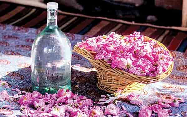 تصویر 3 از قیمت گلاب صادراتی کاشان + خرید باور نکردنی